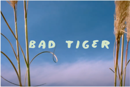 Bad Tiger single “Braiding” out now